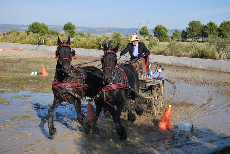 David Aramendía y Carmen Goiburu, Campeones Navarros de Enganches Completo en Troncos y Limoneras